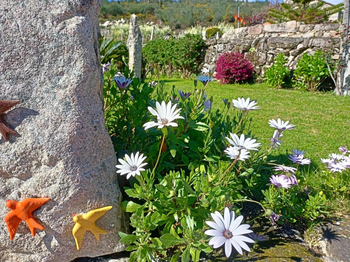 בית הארחה Monção 	Jardim Da Rosa מראה חיצוני תמונה