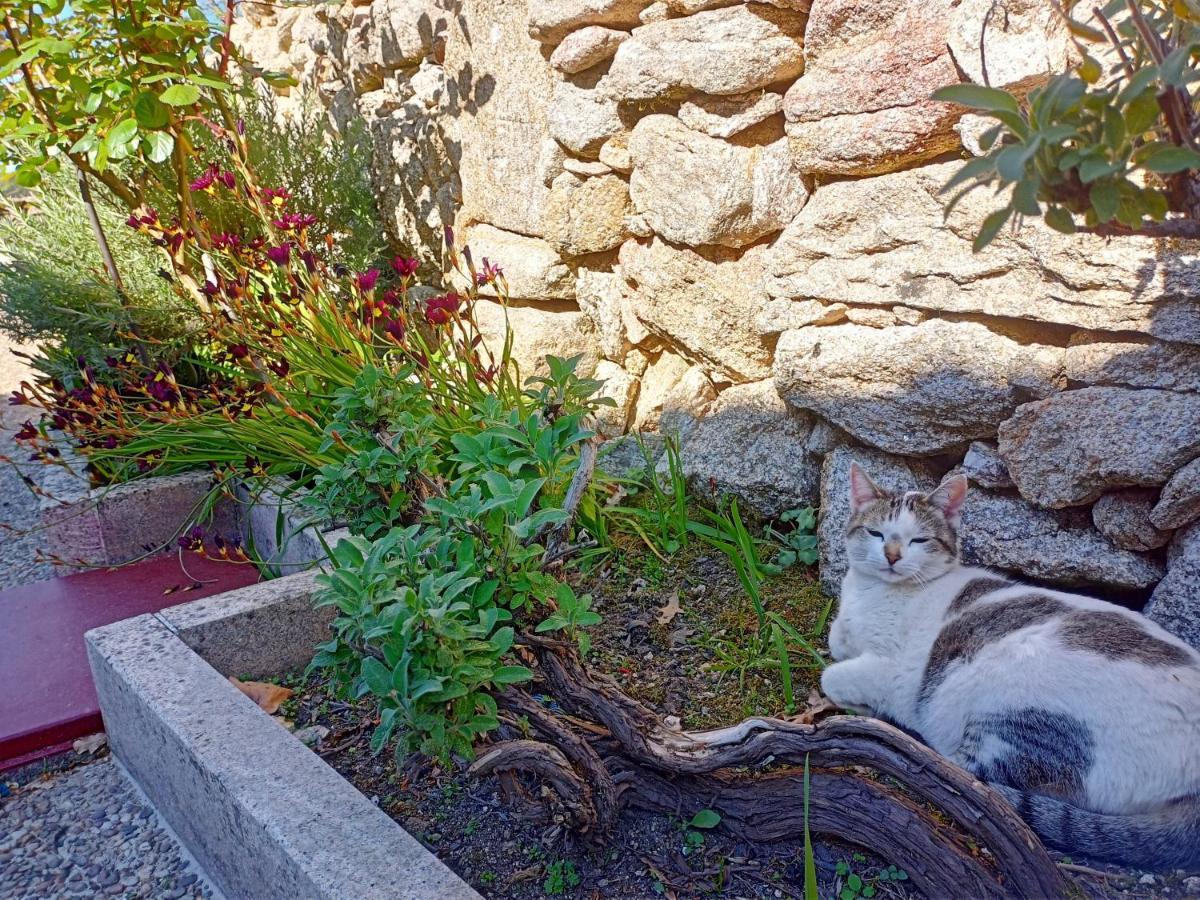 בית הארחה Monção 	Jardim Da Rosa מראה חיצוני תמונה